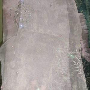 New Organza Pakistani Suit