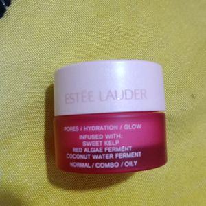 Estee Lauder Face Mask