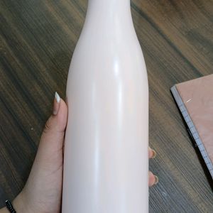 Vacuum Water Bottle