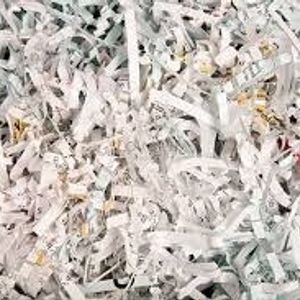 Eenfnety ™ News paper PCENFE0004 & Book Shredded P