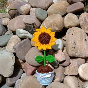 Crochet Sunflower Pot🌻