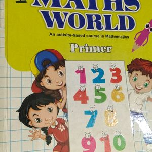 Maths World Primer