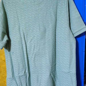 Mint Colour Men T-shirt