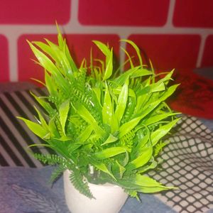 Mini Decorative, Home Office or Gift Wild Artificial Plant with Pot Green