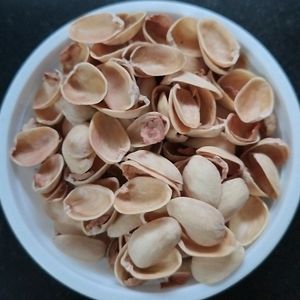 Pista Shells For Craft