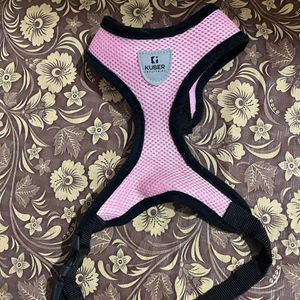 Dog/Cat Chest Harness with Nylon Leash