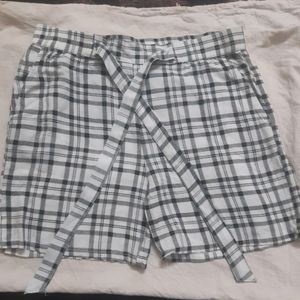 New Cotton Shorts