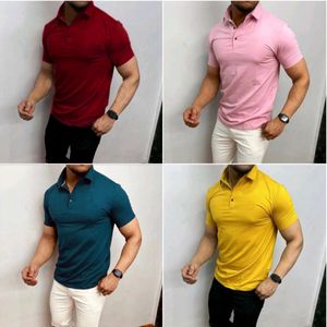 Basic Polo Collar Tshirt- Four Piece Combo