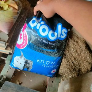 2 Pack Of 4 Kg Drools Ocean Fish Cat Food