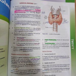 Textbook Of Surgery