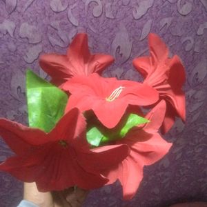 New Rose Red Flower Pot On Cheapest Price ❣️