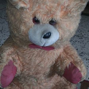Teddy Bear 🐨🐨🐨