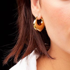 Choose One Waterproof Earrings Hoops