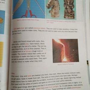 Science Book For Class 4