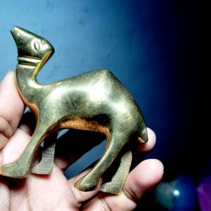 Brass CAMEL + 4 Coins