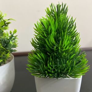 Artificial Plant