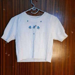 White Crop Top Korean Blue Embroidery