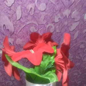 New Rose Red Flower Pot On Cheapest Price ❣️