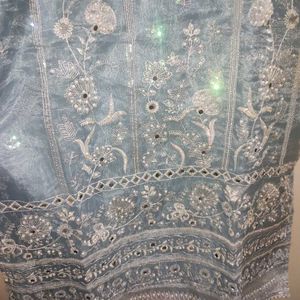 New Organza Pakistani Suit