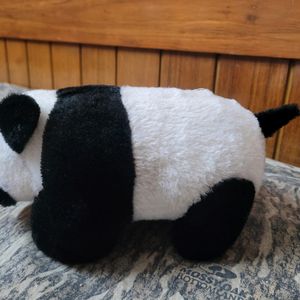 A Cute Panda