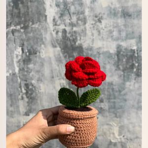 Crochet Rose Pot