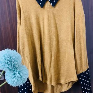 SHEIN Long Sleeves Collar Neck Top