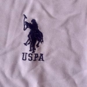 US Polo T Shirt For Men