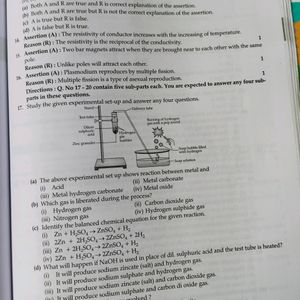 Oswaal Sample Question Papers Class 10