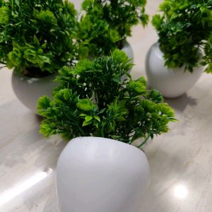 Pack Of 4 Artificial Plants..