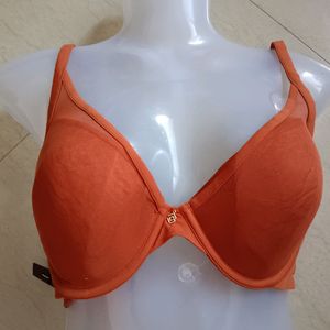 34D Bra