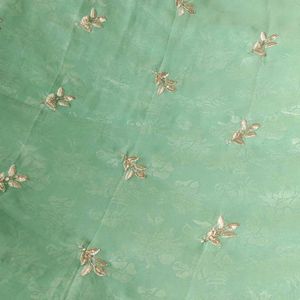 Sea Green Chamki Work Border Saree