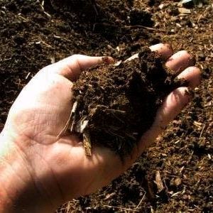 Humas Gardening Soil