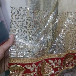 Beautiful Lehnga Choli