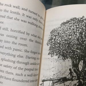 Angry river By Ruskin Bond