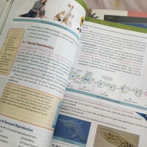 Class 10th Science Books