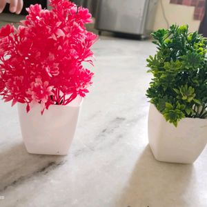 Combo Of 4 Artificial Plants