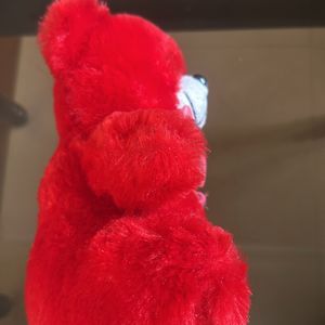 Red Teddy