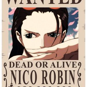 Pack Of 20 Wanted One Piece Anime Poster