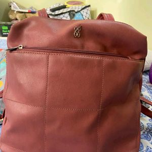 Baggit Backpack Women