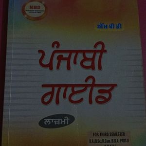 Punjabi Guide