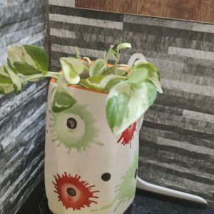 Decorative Plant Vase