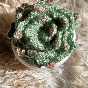 Crochet Succulent Plant