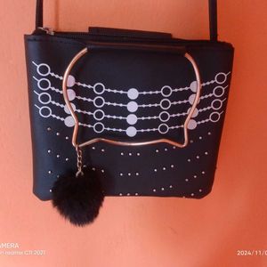 Ladies Fashionable Party Bag