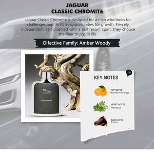 JAGUAR Classic Chromite Eau de Toilette - 100 ml