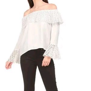 Beutiful Lace Net Off shoulder Top