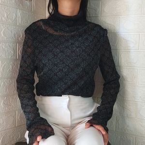 Shimmering Long  Tops & Turtle Neck