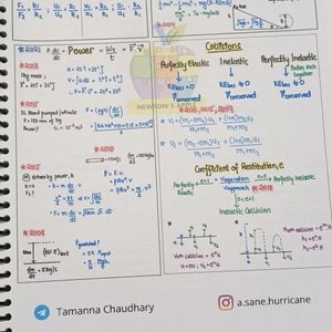 Tamanna Chaudhary 2 Page Notes