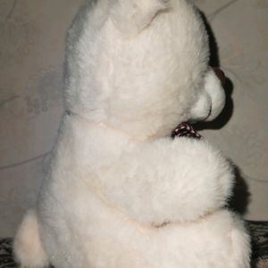 White Teddy Bear Plush