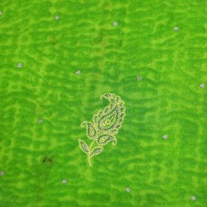 Parrot Green Glitter Saree