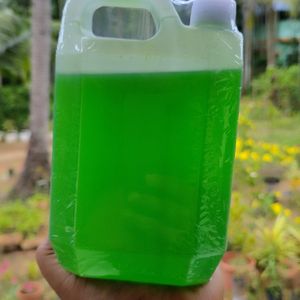 Green Apple Handwash